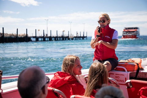 Adventure Rottnest Tour With Ferry & Adventure Cruise From Perth Or Fremantle - Attractions Brisbane 4