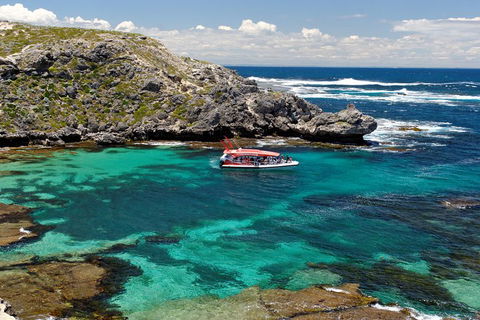 Adventure Rottnest Tour With Ferry & Adventure Cruise From Perth Or Fremantle - Attractions Brisbane 5