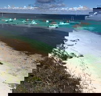 Experience Rottnest with Ferry  Bike Hire from Perth or Fremantle - Attractions Brisbane