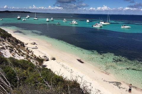 Experience Rottnest With Ferry & Bike Hire From Perth Or Fremantle - Attractions Brisbane 0