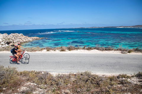Experience Rottnest With Ferry & Bike Hire From Perth Or Fremantle - Attractions Brisbane 2