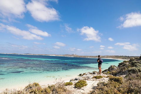 Experience Rottnest With Ferry & Bike Hire From Perth Or Fremantle - Attractions Brisbane 3