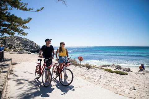 Experience Rottnest With Ferry & Bike Hire From Perth Or Fremantle - Attractions Brisbane 4
