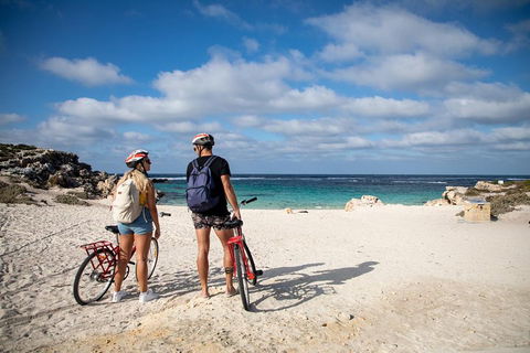 Experience Rottnest With Ferry & Bike Hire From Perth Or Fremantle - Attractions Brisbane 5