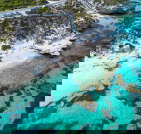 Rottnest Island Round-Trip Ferry from Perth or Fremantle - Attractions Brisbane