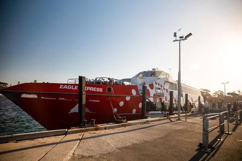 Rottnest Island Round-Trip Ferry From Perth Or Fremantle - Attractions Brisbane 2