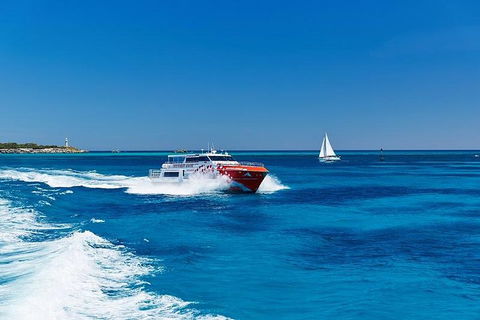 Rottnest Island Round-Trip Ferry From Perth Or Fremantle - Attractions Brisbane 4