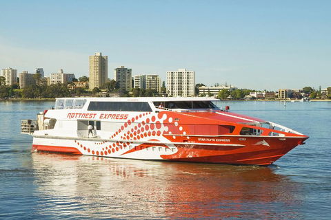 Rottnest Island Round-Trip Ferry From Perth Or Fremantle - Attractions Brisbane 5