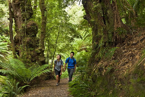 2-Day Great Ocean Road, Mornington Peninsula And Phillip Island Tour - Attractions Brisbane 5