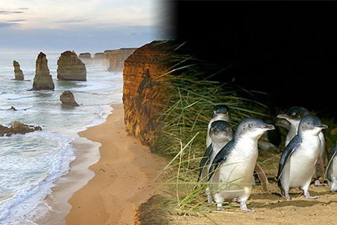 Melbourne Super Saver: Great Ocean Road + Phillip Island + Attraction Pass - Attractions Brisbane 0