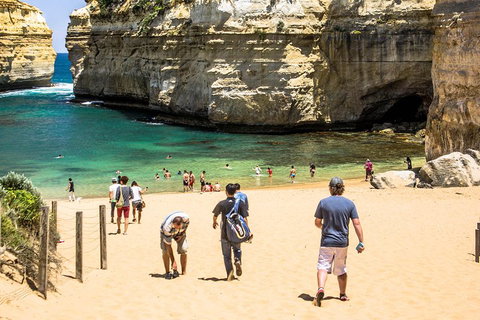 Small-Group Great Ocean Road Classic Day Tour From Melbourne - Attractions Brisbane 5