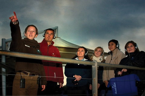 Phillip Island Penguin Parade Express Tour From Melbourne - Attractions Brisbane 1