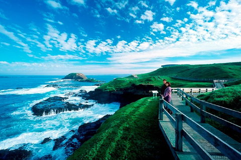 Phillip Island Penguin Parade Express Tour From Melbourne - Attractions Brisbane 4