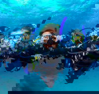 Great Barrier Reef Diving and Snorkeling Cruise from Cairns - Attractions Brisbane