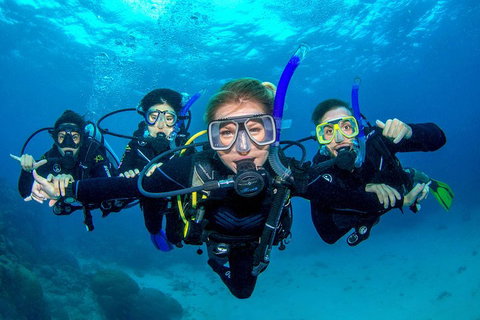 Great Barrier Reef Diving And Snorkeling Cruise From Cairns - Attractions Brisbane 0