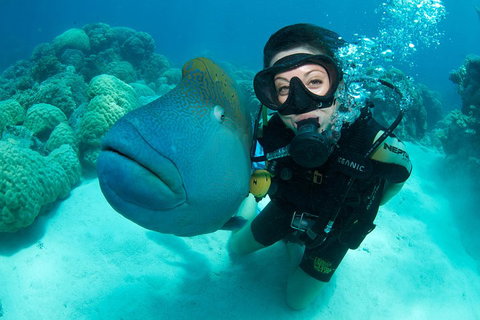 Great Barrier Reef Diving And Snorkeling Cruise From Cairns - Attractions Brisbane 2