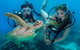 Great Barrier Reef Diving And Snorkeling Cruise From Cairns - thumb 4