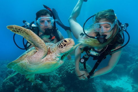 Great Barrier Reef Diving And Snorkeling Cruise From Cairns - Attractions Brisbane 4