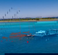 Ocean Free Green Island  Great Barrier Reef Snorkel Cruise Cairns 25 guests - Attractions Brisbane