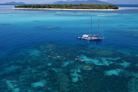 Ocean Free Green Island & Great Barrier Reef Snorkel Cruise, Cairns 25 Guests - Attractions Brisbane 2