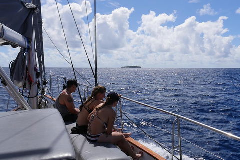 Ocean Free Green Island & Great Barrier Reef Snorkel Cruise, Cairns 25 Guests - Attractions Brisbane 4
