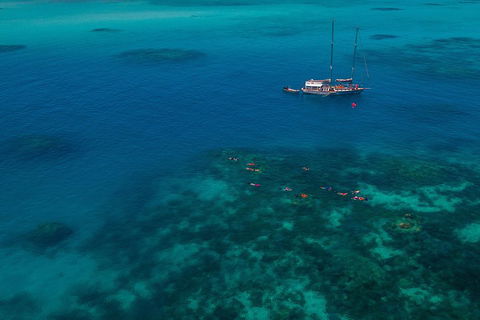 Ocean Free Green Island & Great Barrier Reef Snorkel Cruise, Cairns 25 Guests - Attractions Brisbane 5