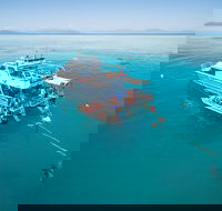 Ocean Freedom Great Barrier Reef Personal Luxury Snorkel  Dive Cruise Cairns - Attractions Brisbane