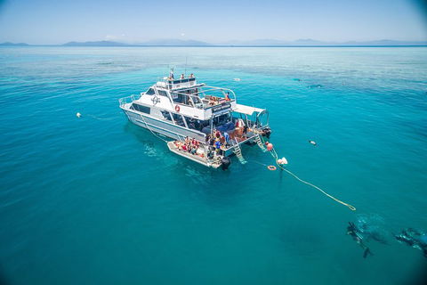 Ocean Freedom Great Barrier Reef Personal Luxury Snorkel & Dive Cruise, Cairns - Attractions Brisbane 0