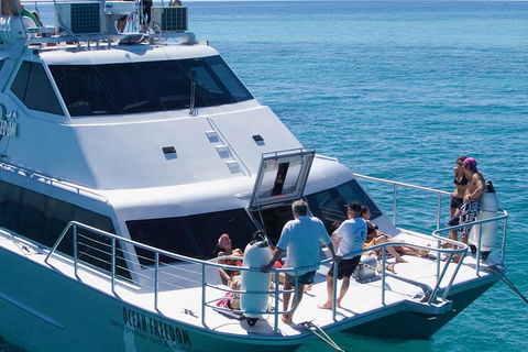 Ocean Freedom Great Barrier Reef Personal Luxury Snorkel & Dive Cruise, Cairns - Attractions Brisbane 1