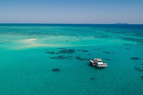 Ocean Freedom Great Barrier Reef Personal Luxury Snorkel & Dive Cruise, Cairns - Attractions Brisbane 2