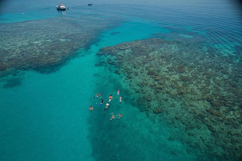 Ocean Freedom Great Barrier Reef Personal Luxury Snorkel & Dive Cruise, Cairns - Attractions Brisbane 3