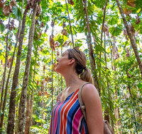 5 Day Australia Retreat Queensland Daintree - Attractions Brisbane