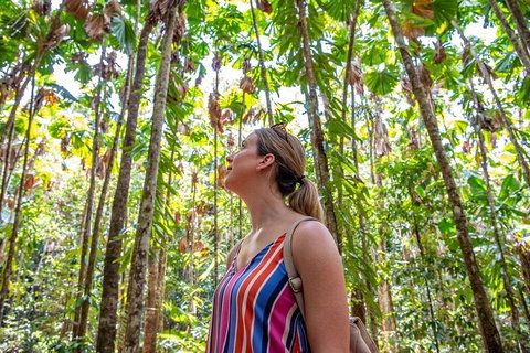 5 Day Australia Retreat: Queensland Daintree - Attractions Brisbane 0