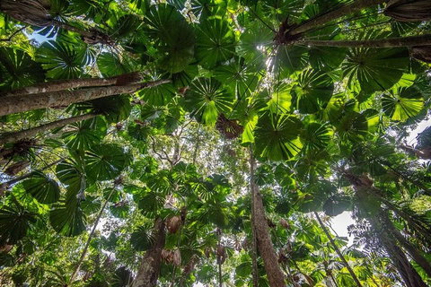 5 Day Australia Retreat: Queensland Daintree - Attractions Brisbane 2