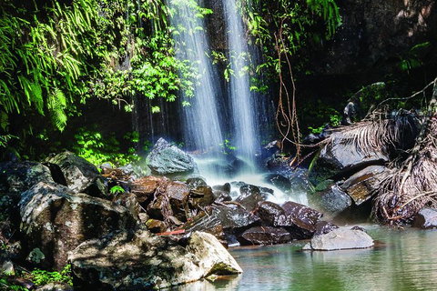 Full Day Small Group Luxury Tour To Tamborine Mountain - Attractions Brisbane 0