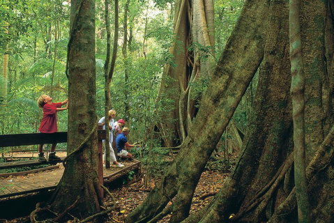 Full Day Small Group Luxury Tour To Tamborine Mountain - Attractions Brisbane 1