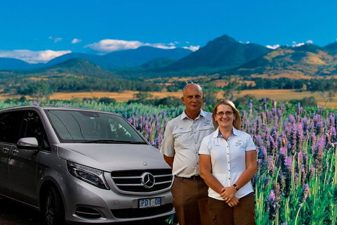 Full Day Small Group Luxury Tour To Tamborine Mountain - Attractions Brisbane 3
