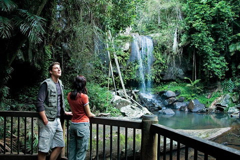 Full Day Small Group Luxury Tour To Tamborine Mountain - Attractions Brisbane 4