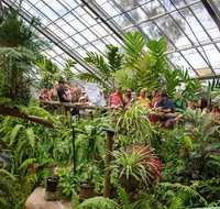 Australian Butterfly Sanctuary - Attractions Brisbane