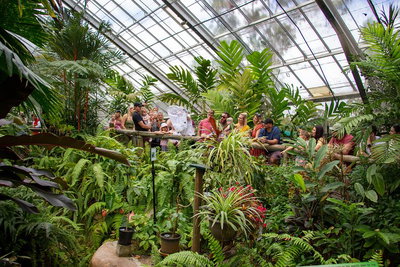 Australian Butterfly Sanctuary