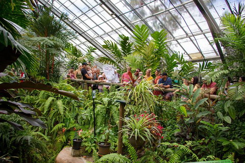 Australian Butterfly Sanctuary - Attractions Brisbane 0
