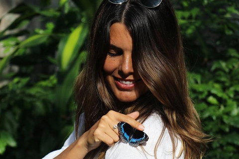 Australian Butterfly Sanctuary - Attractions Brisbane 2