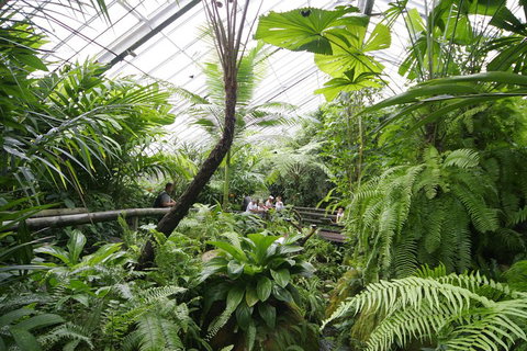 Australian Butterfly Sanctuary - Attractions Brisbane 3