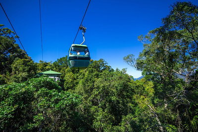 Classic Kuranda by Skyrail and Scenic Railway Including Rainforestation Koala and Wildlife Park and Pamagirri Aboriginal Experi