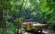 Kuranda Highlights Including Rainforestation Aboriginal Culture And Wildlife - thumb 2