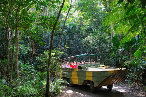 Kuranda Highlights Including Rainforestation Aboriginal Culture And Wildlife - Attractions Brisbane 2