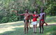 Kuranda Rainforestation Nature Park Ticket (BNP) - thumb 1
