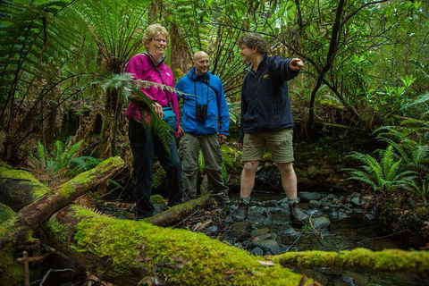 Bruny Island Traveller - Gourmet Tasting And Sightseeing Day Trip From Hobart - Attractions Brisbane 1