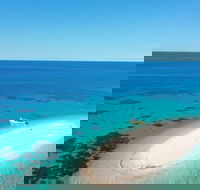 Ocean Safari Great Barrier Reef Experience in Cape Tribulation - Attractions Brisbane