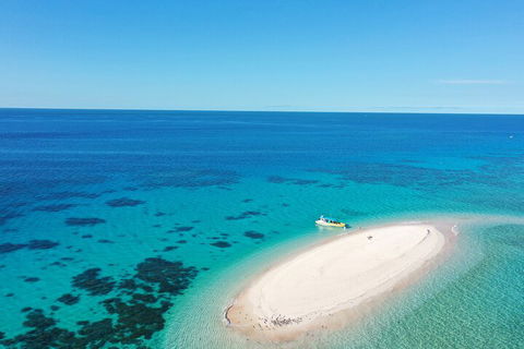 Ocean Safari Great Barrier Reef Experience In Cape Tribulation - Attractions Brisbane 0